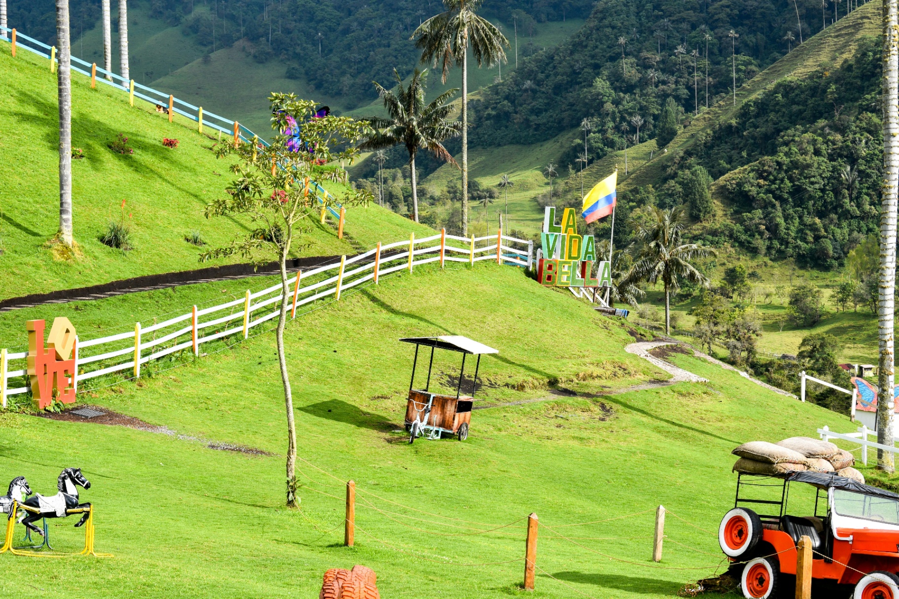 Paquete turístico Valle de Cocora & Salento